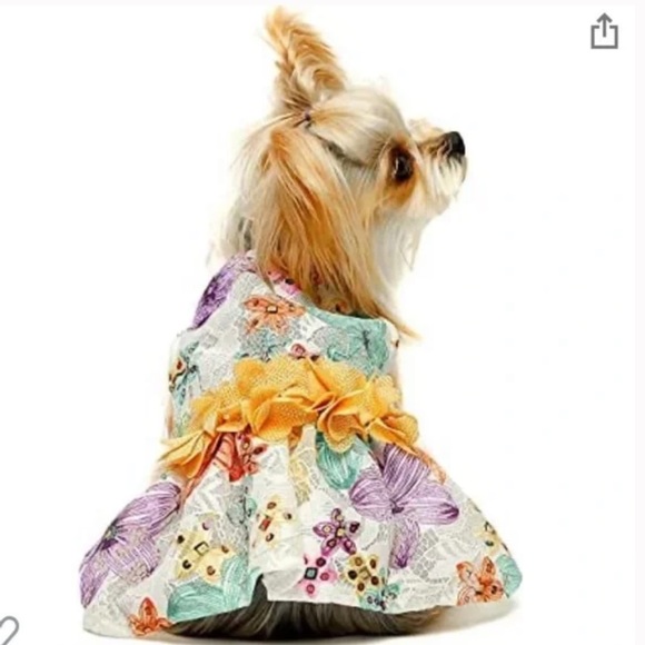 NWT Fitwarm Floral Lace Lined Dog Dress, Small - Picture 2 of 9